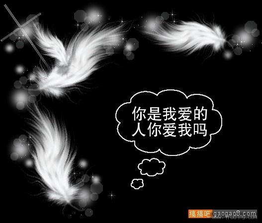 photoimg511.qq.jpg