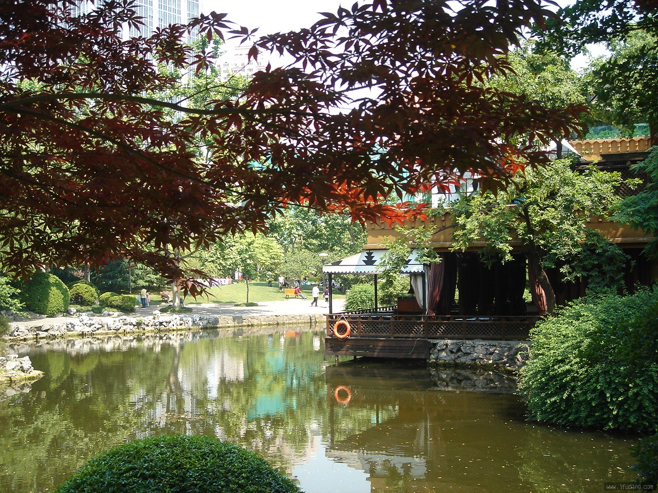 DSC02263.JPG