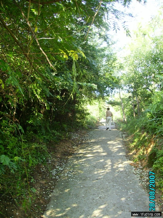 PICT1036.jpg