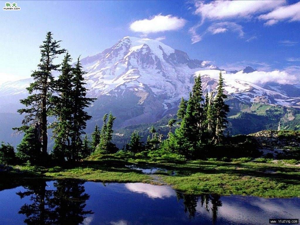 2005622144327.jpg