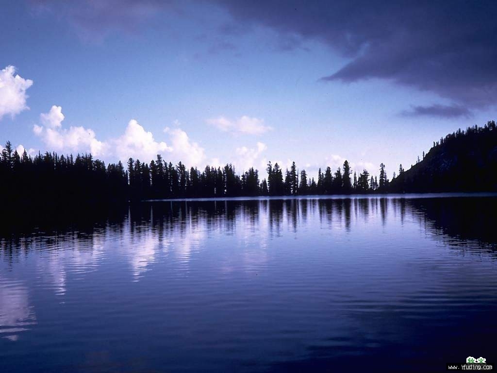 2005622144333.jpg