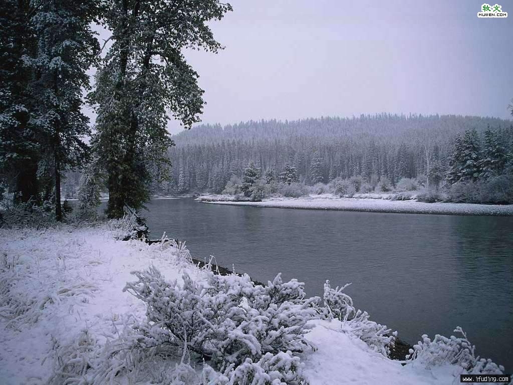 2005622144337.jpg
