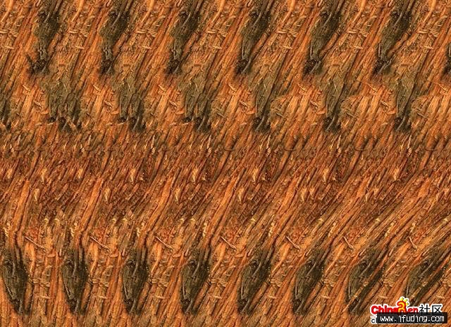 fa4d3042.jpg