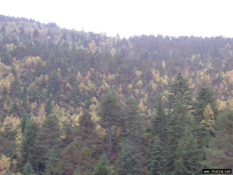 PICT0186_С.JPG