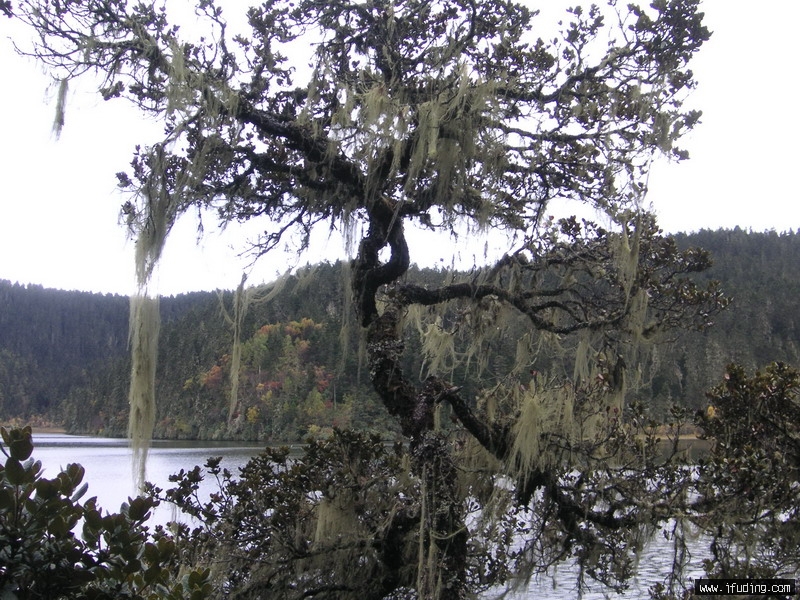 PICT0268_С.JPG
