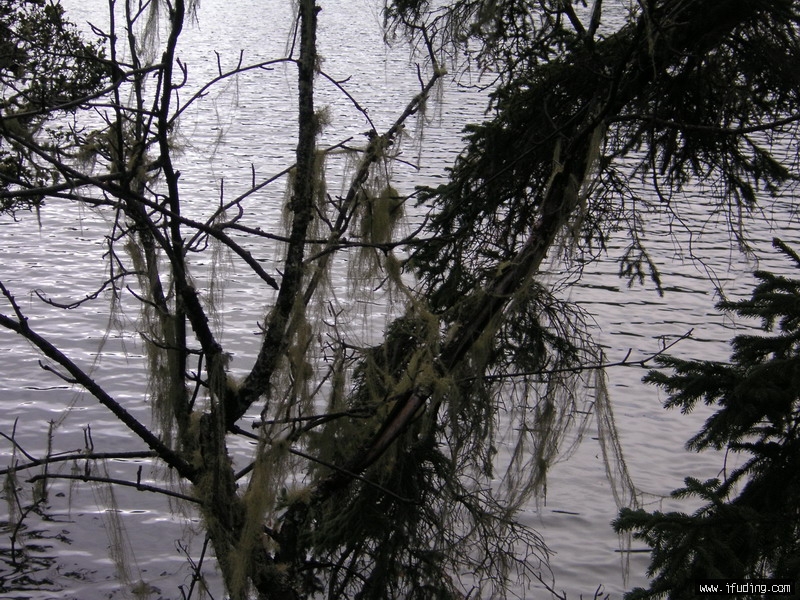 PICT0260_С.JPG
