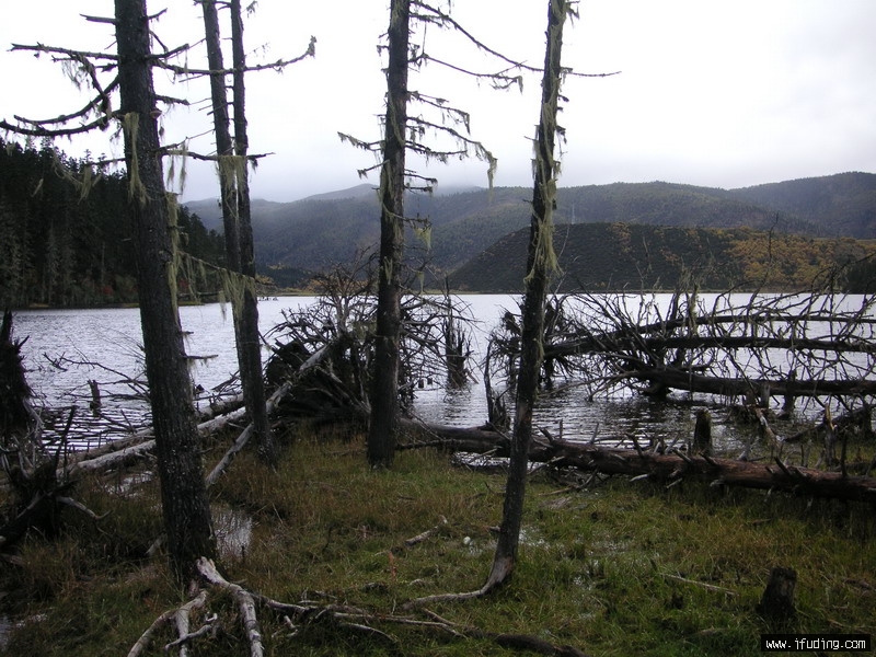 PICT0240_С.JPG
