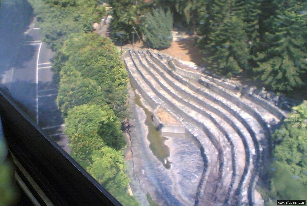 z 031.jpg