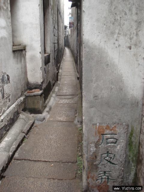 DSC00276.JPG