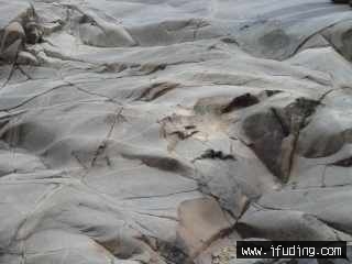 DSC05161-ѹ.JPG
