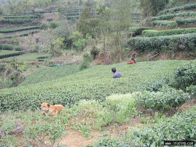 STA60006.JPG