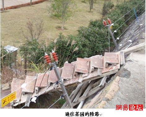 20130220094526817.jpg