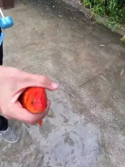 70.jpg