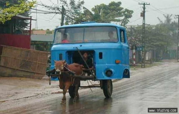238.jpg