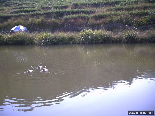 PICT0234.JPG